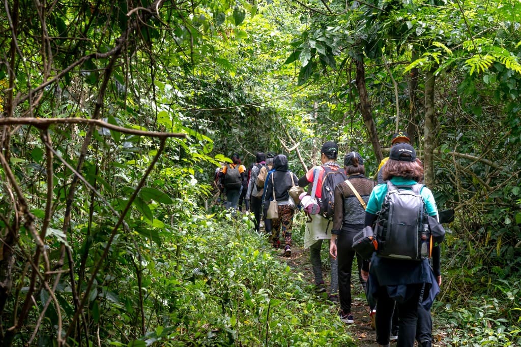 Inka Jungle Trek